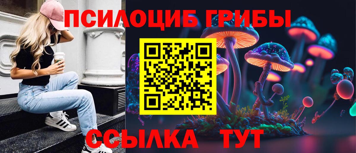 Псилоцибиновые грибы Psilocybine cubensis Калининград